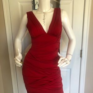 Emeral Sandae NWT form fitting mini dress